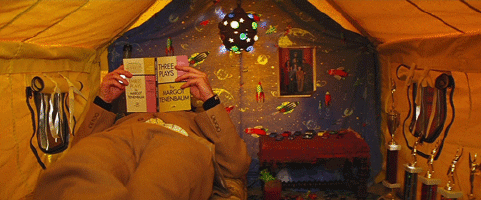 reading wes anderson